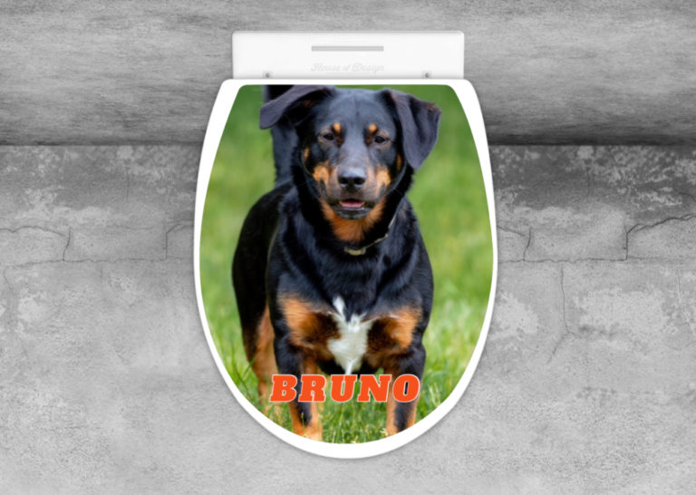 Lustiger Toilettenaufkleber Mit Gesicht - 30x30cm PVC Aufkleber Für WC Deckel